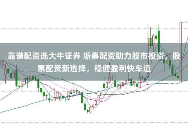 靠谱配资选大牛证券 浙嘉配资助力股市投资，股票配资新选择，稳健盈利快车道