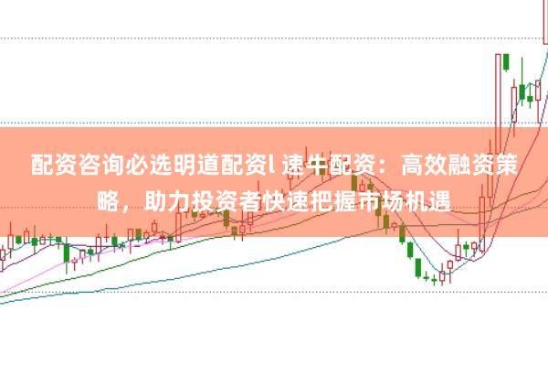 配资咨询必选明道配资l 速牛配资：高效融资策略，助力投资者快速把握市场机遇