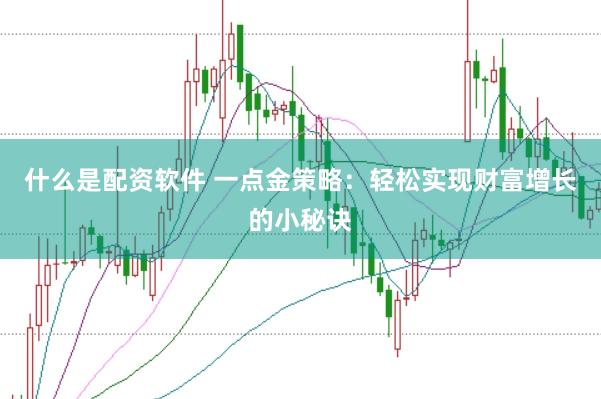 什么是配资软件 一点金策略：轻松实现财富增长的小秘诀