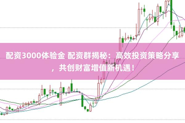 配资3000体验金 配资群揭秘：高效投资策略分享，共创财富增值新机遇！