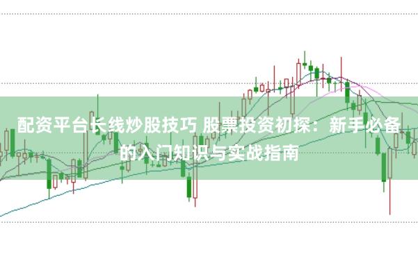 配资平台长线炒股技巧 股票投资初探：新手必备的入门知识与实战指南