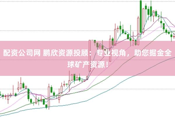 配资公司网 鹏欣资源投顾：专业视角，助您掘金全球矿产资源！