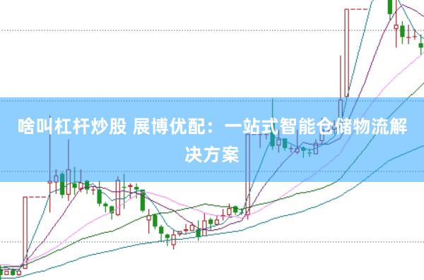 啥叫杠杆炒股 展博优配：一站式智能仓储物流解决方案