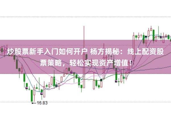 炒股票新手入门如何开户 杨方揭秘：线上配资股票策略，轻松实现资产增值！