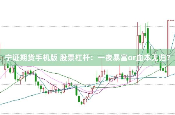 宁证期货手机版 股票杠杆：一夜暴富or血本无归？
