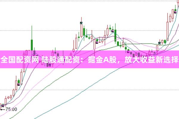 全国配资网 陆股通配资：掘金A股，放大收益新选择