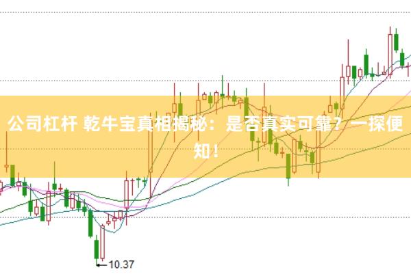 公司杠杆 乾牛宝真相揭秘：是否真实可靠？一探便知！
