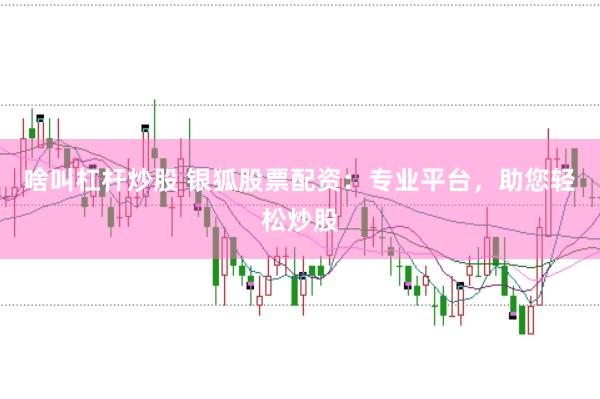 啥叫杠杆炒股 银狐股票配资：专业平台，助您轻松炒股