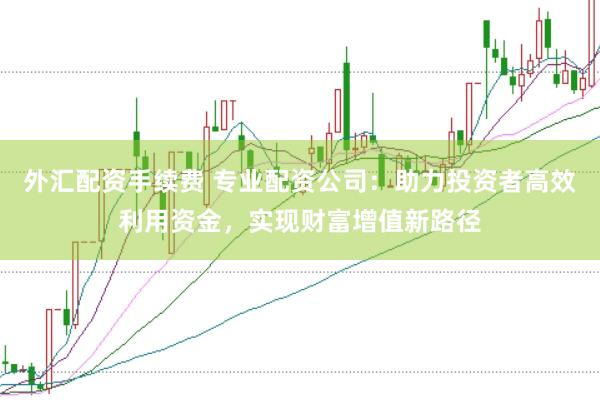 外汇配资手续费 专业配资公司：助力投资者高效利用资金，实现财富增值新路径